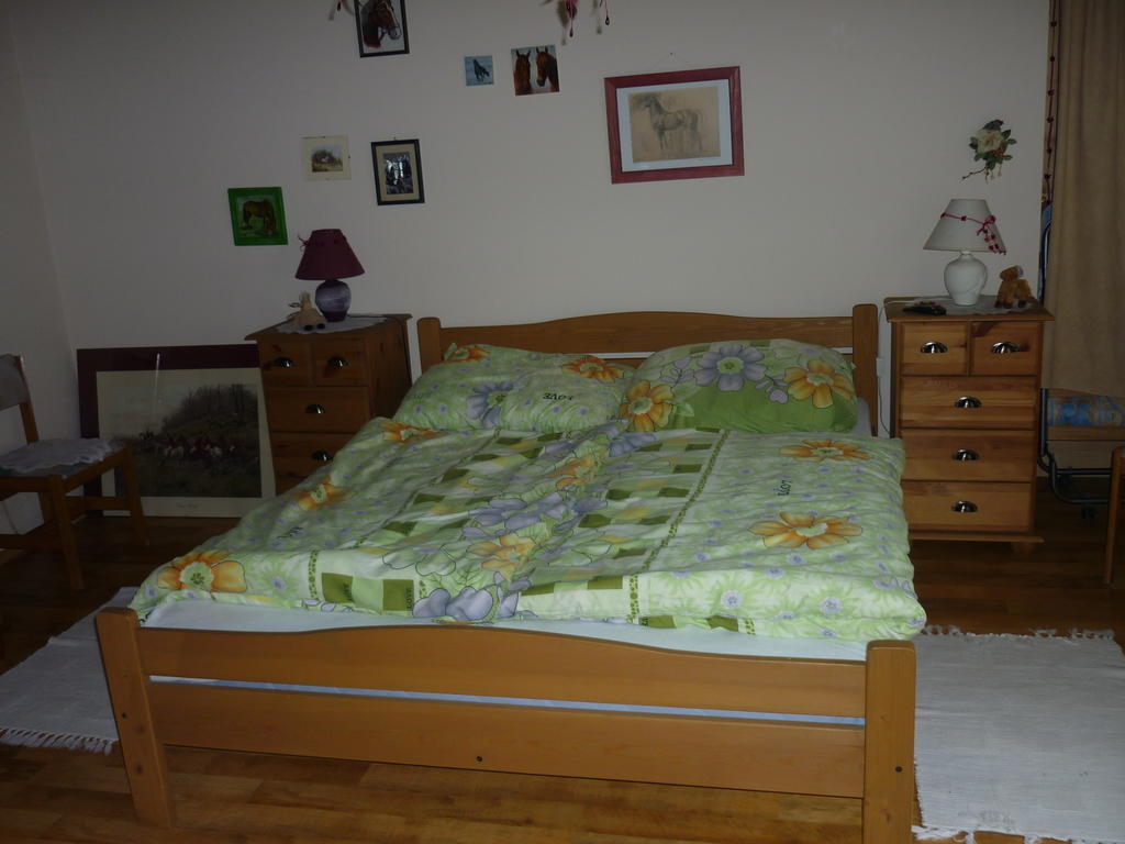 Apartment Falusi Vendeghaz